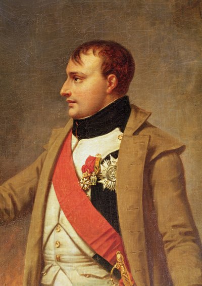 Détail de Napoléon rencontrant François II après la bataille d